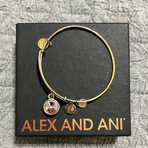 Alex and Ani Bracelet